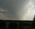 Zdjęcie z galerii