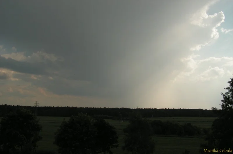 Zdjęcie z galerii